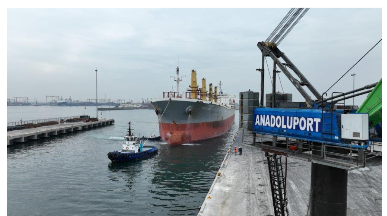 Anadolu Port liman sahası, iskele ve yük gemisi